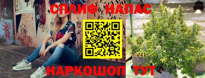 гашик Конаково