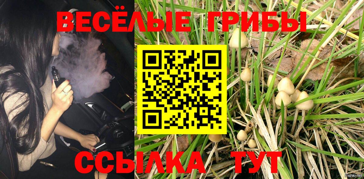 Галлюциногенные грибы Psilocybe Королёв