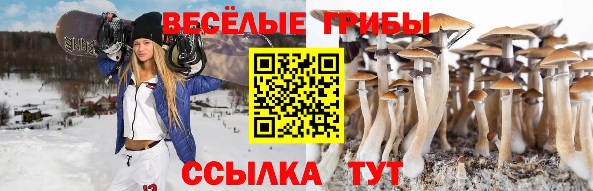 Галлюциногенные грибы MAGIC MUSHROOMS  Вход с VPN  Галлюциногенные грибы Magic Shrooms  Королёв 